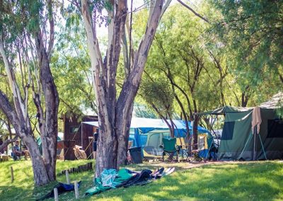 Broadwater River Resort & Nature Retreat - Campsite