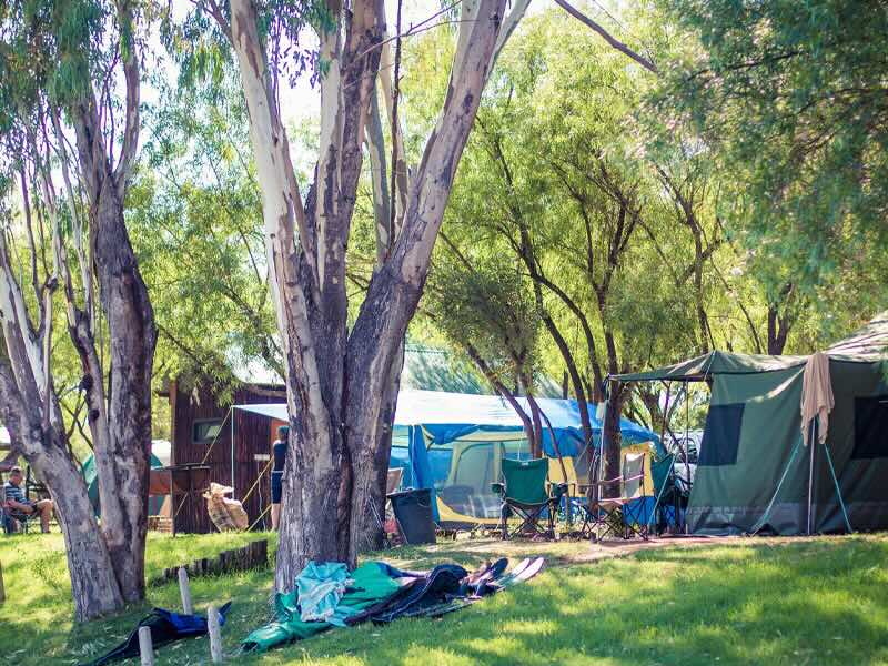 Broadwater River Resort & Nature Retreat- Camping