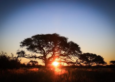 Broadwater River Resort & Nature Retreat - Sunset Lodge