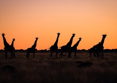 Broadwater River Resort & Nature Retreat - Sunset Lodge