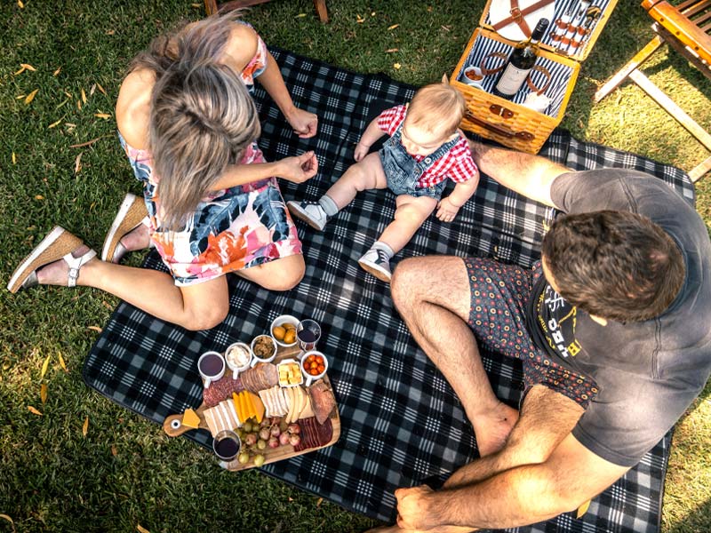 Picnics Picnics